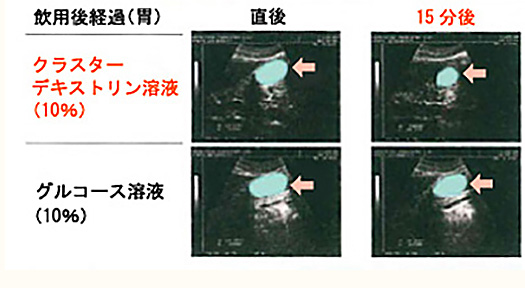 Cデキストリンの水泳持久力増強効果検証